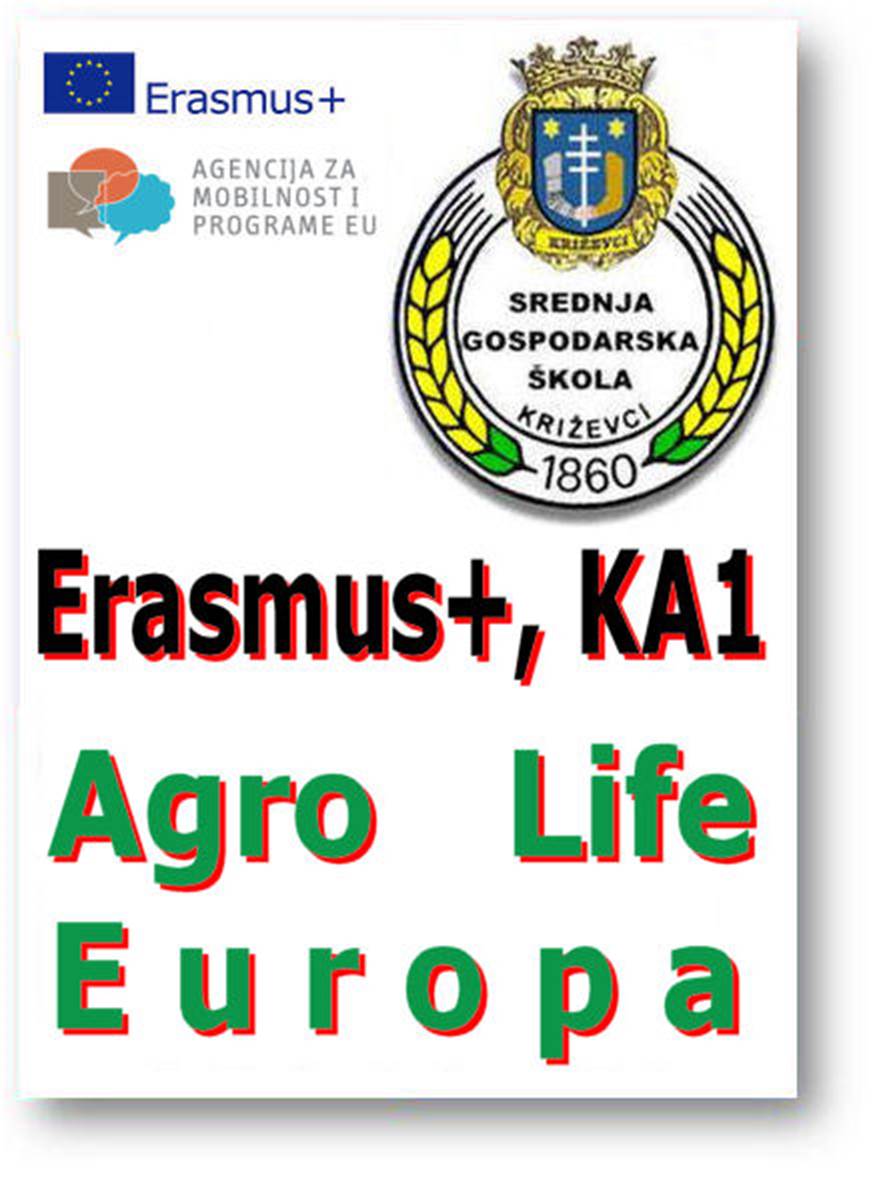 ALE.jpg