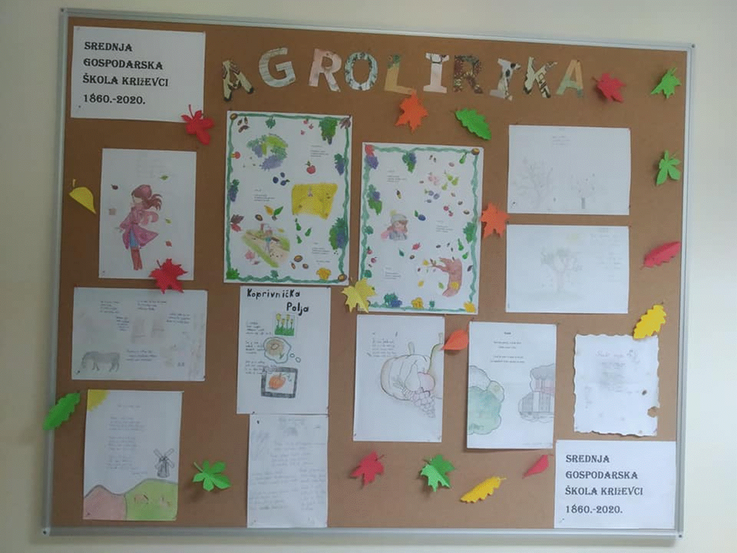 image(12)