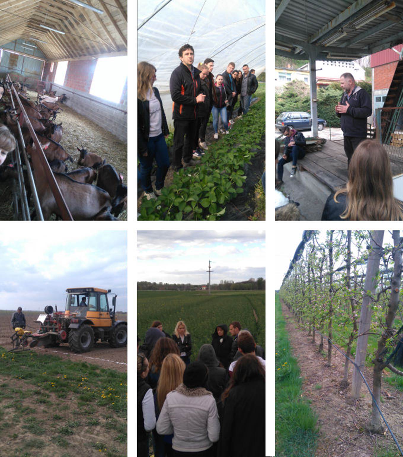 Agromedjimurje01